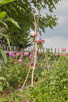 DIY-Blumenstellage mit blühenden Margeriten und Phlox im Garten