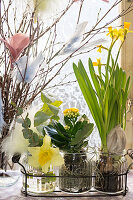 Vase of pussy willow branches decorated with feathers, narcissus and kalanchoe in mason jars