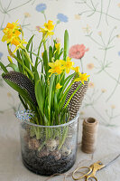 Narcissus, feathers and quail eggs arranged in glass vase