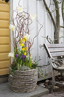 Spring flowers decorated with feathers in wicker planter next to front door