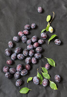 Fresh plums with leaves on a dark surface