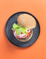 A hamburger with tomatoes, onions and lettuce