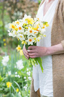 Woman holding bunch of narcissus