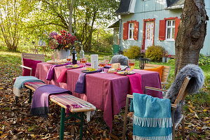 A festively laid table in an autumnal garden