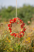 Wreath of rose hips in garden