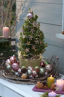 Christmas arrangement with sugarloaf spruce and Christmas baubles
