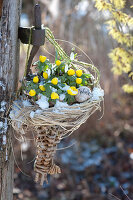 Winterlinge und Schneeglöckchen im Spitzkorb aufgehängt