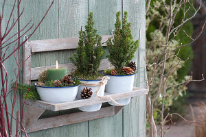 Sugarloaf spruce and candle in wall mount