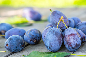 Blue and violet plums in the garden on wooden table