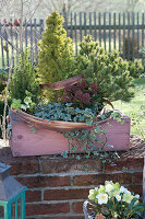 Winterfest Planted Gravel Terrace