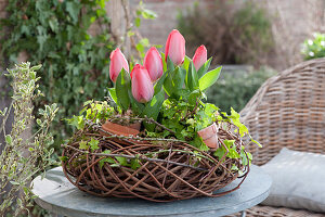 Tulips In Wreath Of Branches