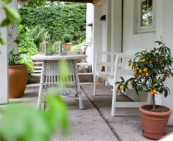 Potted orange tree and white outdoor furniture on veranda