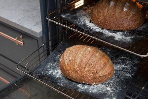 Two loaves of sourdough in the oven, ready to come out