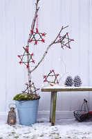 Selbstgebastelte Sterne aus Zweigen als weihnachtliche Gartendekoration