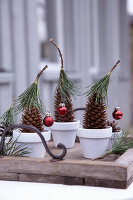 Pine cones festively decorated with hats of conifer needles and miniature baubles