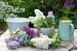 Purple - White Lilac Bouquet Stuck