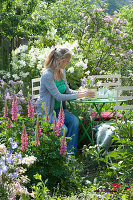 Sitzplatz im Garten zwischen Flieder und Stauden