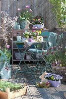 Easter Balcony With Spring Bloomers And Ornamental Cherry