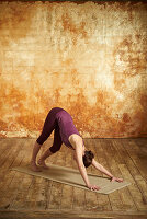 Downward-facing dog (yoga position)