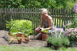 Woman planting bed with vegetables and summer flowers