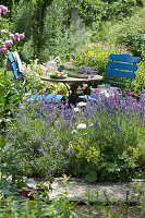 Seating area in the garden between lavender and roses