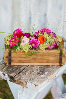 Arrangement of dahlias, hydrangeas, grasses and Muehlenbeckia in wooden box