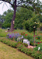 Bauerngarten mit Stammrose und blühendem Mohn