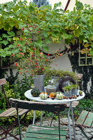 Table Arrangement With Rosehip Bouquet And Ornamental Pumpkins