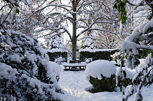 Blick auf verschneite Baumbank im winterlichen Garten