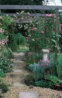 Pergola mit Rosen