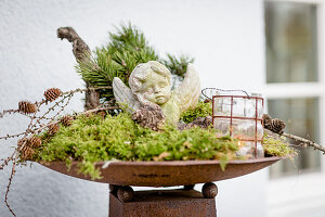 Autumn arrangement of moss, cherub, pine branches and larch branches in rusty dish