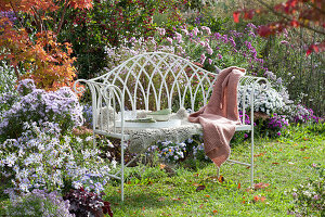 English bench on the bed with autumn asters