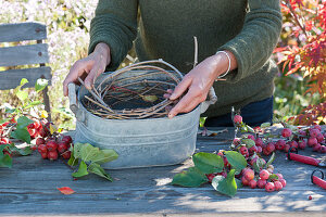 Ornamental apple - flower arrangement: woman puts tendrils as a plug-in aid in zinc containers