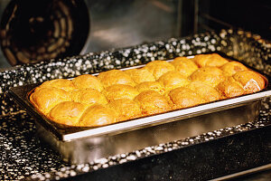 Buchteln (baked, sweet yeast dumplings) in an oven