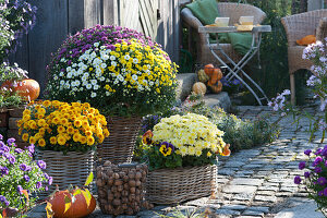 Autumn arrangement with chrysanthemums in baskets