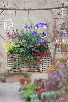 Autumn basket as a traffic light with strawberry, violet and bud heather