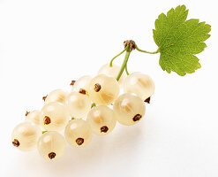 A bunch of whitecurrants