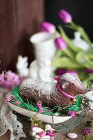 A chocolate Easter lamb