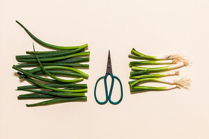 Spring onions with a pair of scissors