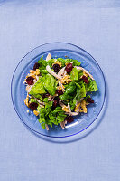 Chicken salad with cranberries and walnuts