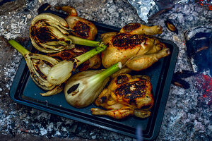 Grillhähnchen und Fenchel auf Backblech