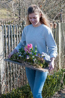 Woman carries board with hyacinths, crocuses and ray anemone