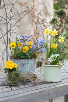 Blau-gelbe Frühlingsdekoration mit Primel, Hornveilchen, Strahlenanemone und Narzisse
