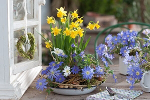 Spring bowl with daffodils 'Tete a Tete' and ray anemone