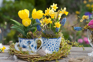 Small spring table decoration with tulips, daffodils and grape hyacinths in cups