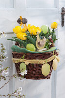 Gelbe Darwin-Tulpen 'Garant' österlich dekoriert im Korb