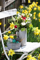 Natürlicher Frühlingsstrauß auf dem Gartenstuhl im Narzissenbeet