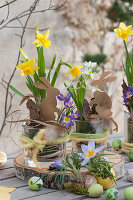 Easter decoration with daffodils, Ornithogalum, and crocus on a birch wood disc