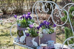 Ostern auf Bank im Garten mit Krokus und Milchstern