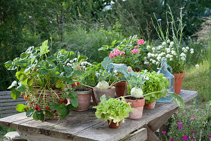 Topf - Arrangement mit Kohlrabi, Erdbeeren, Salat, Schnittlauch und Petersilie auf Terrassentisch